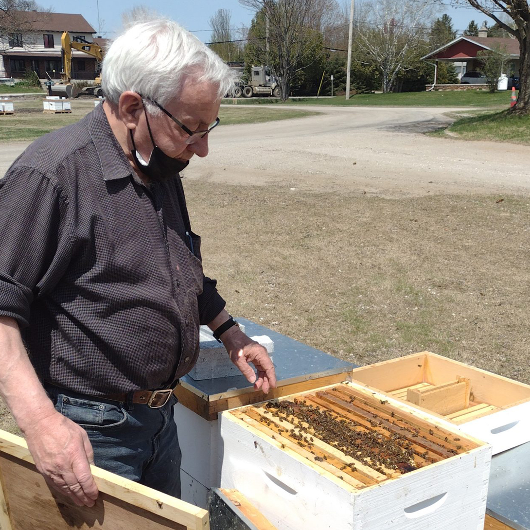 Abeilles - Photo 1